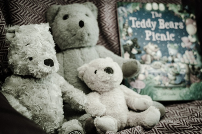 Bears and book